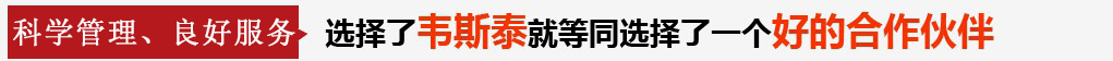 丙綸色紗，pp紗，丙綸FDY絲，丙綸紗，PP色紗